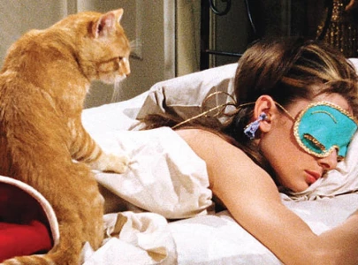 four films four felines four films four felines