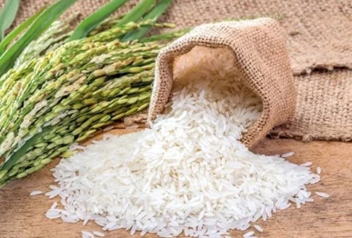 pakistan eyes boost in rice exports to oman