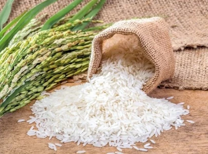 pakistan eyes boost in rice exports to oman