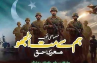radio pakistan new patriotic song