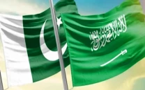 saudi support economic sovereignty saudi support economic sovereignty