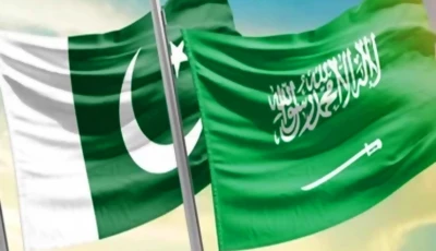 saudi support economic sovereignty saudi support economic sovereignty