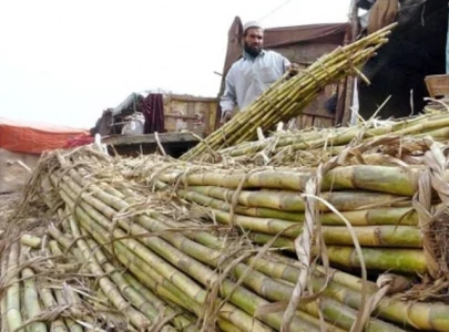 growers demand free sugar market growers demand free sugar market