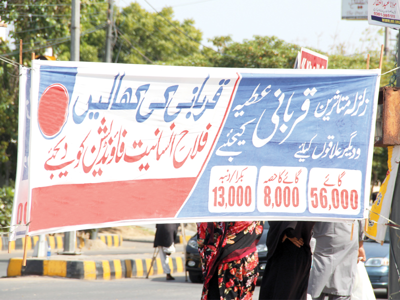 the race to obtain animal skins gets hotter with the increasing number of billboards and banners put up across the city photo ayesha mir express