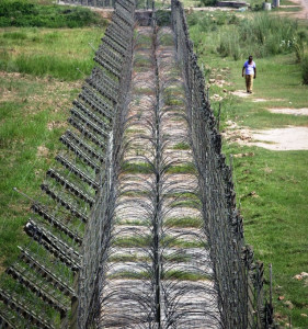 indian firing in chaprar sector leaves one dead