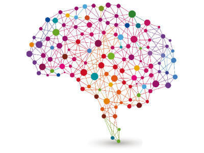 at your own risk the insanity of ignoring the mentally challenged