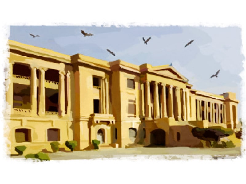 the black kites also known as pariah kites or cheel in urdu can be seen on the walls of the sindh high court s building illustration jamal khurshid