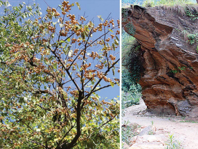 in the rough the area of samsarey offers up plenty but has no takers