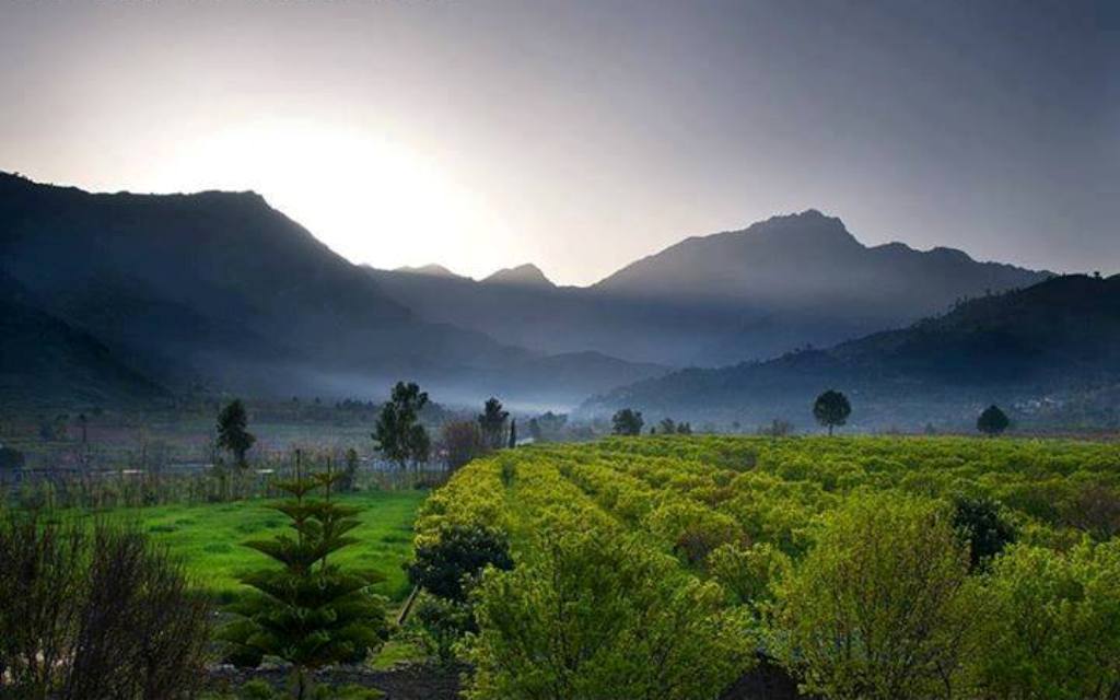 Updated Oct 23, 2013