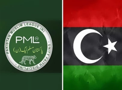 ppp grabs lion s share of g b seats