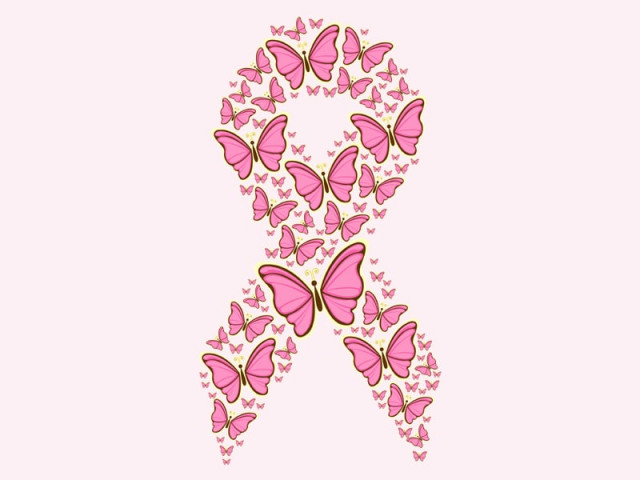 in observance of breast cancer awareness month 2013 ms t sheds some light on the illness and how it can be countered in observance of breast cancer awareness month 2013 ms t sheds some light on the illness and how it can be countered