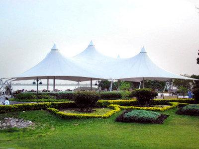 overgrown bushes mar beauty of capital s parks