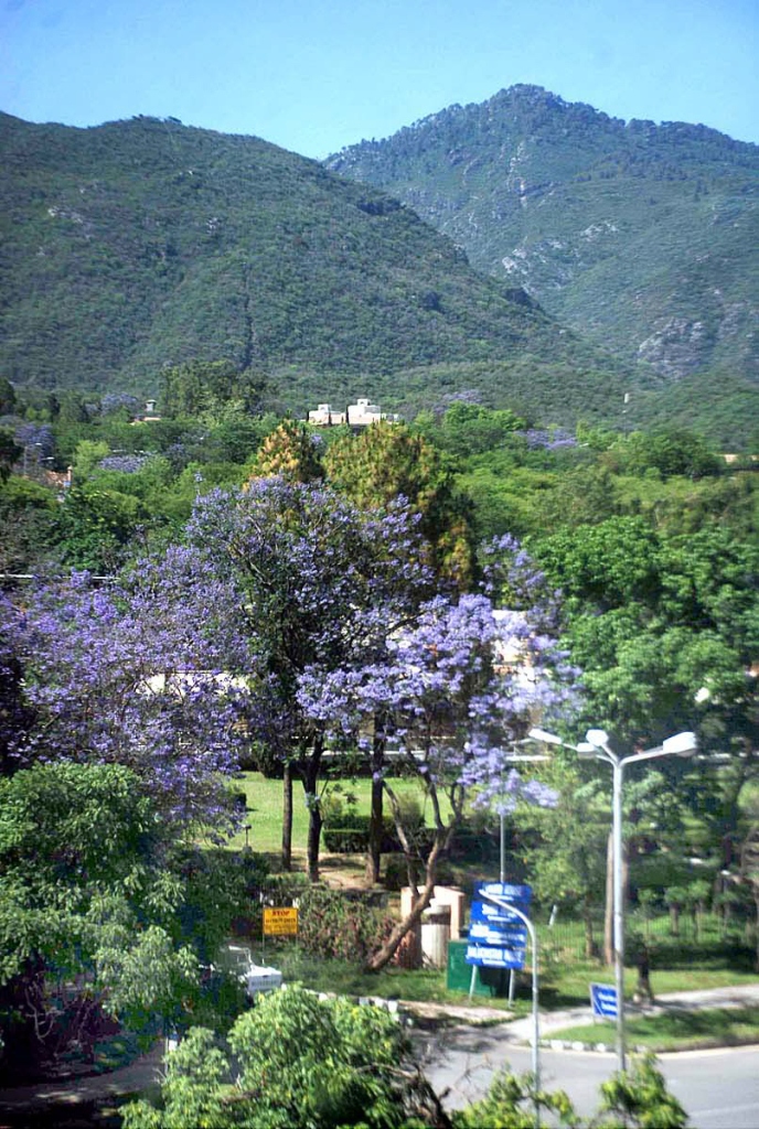 an attractive view of lush green margallah hills in federal capital city photo app