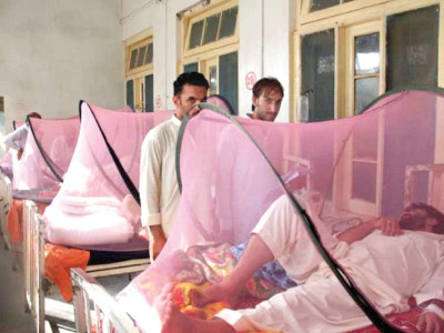 dengue 31 new cases surface in swat dengue 31 new cases surface in swat