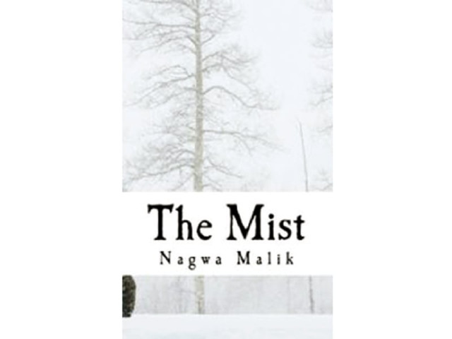 nagwa malik author of spy novel the mist says her work is not about the isi