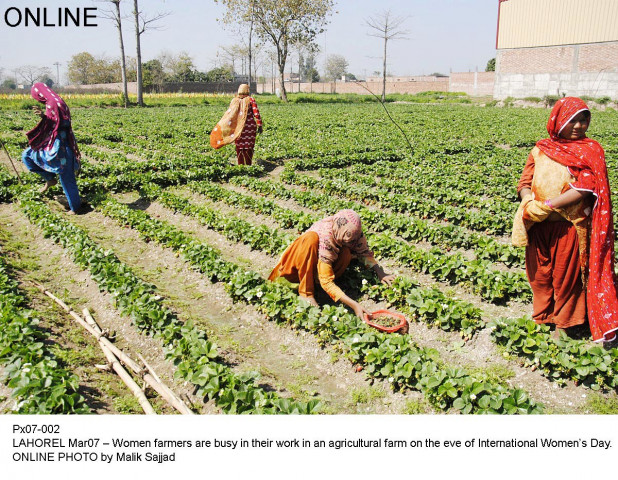 govt making all out efforts to help farmers govt making all out efforts to help farmers