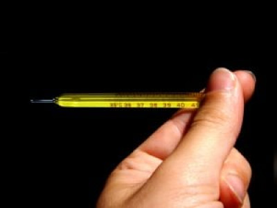 lost dentures loose eyeball among sick day excuses survey lost dentures loose eyeball among sick day excuses survey