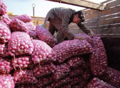 india extends ban on onion exports india extends ban on onion exports