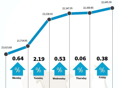 weekly review market breaks bearish spell as earnings season kicks in
