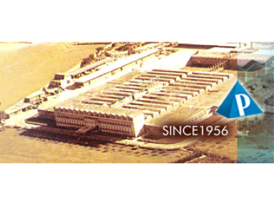 back in the game packages limited in the black