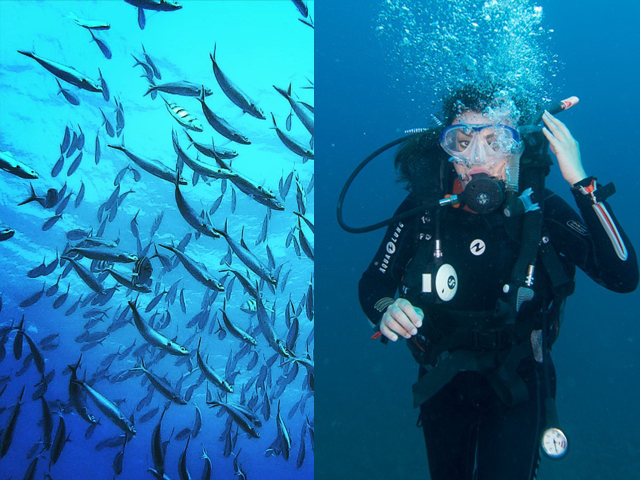 touching the ocean floor and feeling my heart beat in the clear blue red sea at hurghada egypt