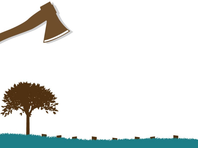 trees to be renumbered to curb timber theft design samra aamir trees to be renumbered to curb timber theft design samra aamir