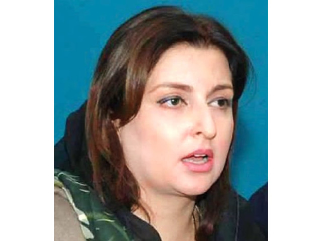 pml n s sumaira malik photo file