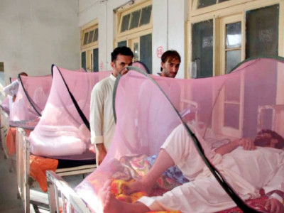 still spreading 15 new dengue cases reported in swat still spreading 15 new dengue cases reported in swat