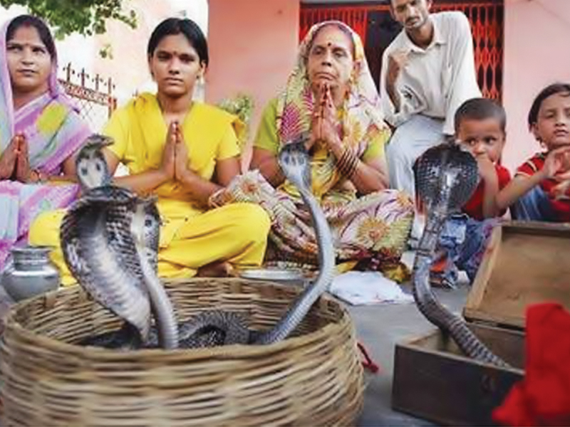devotees of gogo chohan believe he gives them special powers to enslave the snakes image rumana husain