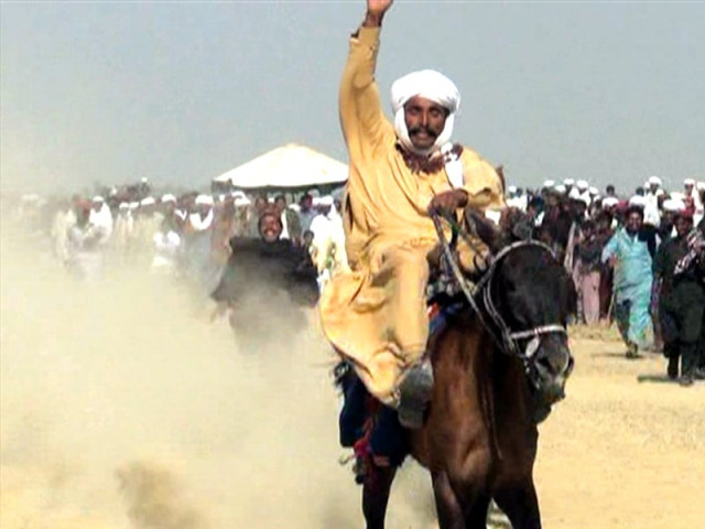 three day horse show ends in rajanpur three day horse show ends in rajanpur