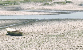 no food without water