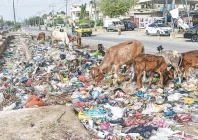 sharah i noorjahan is littered with garbage photo fahim siddiqi white star