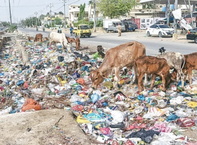 kmc decides to take strict action imposing fines on individuals for littering on roads kmc decides to take strict action imposing fines on individuals for littering on roads