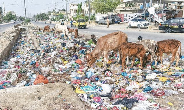 kmc decides to take strict action imposing fines on individuals for littering on roads kmc decides to take strict action imposing fines on individuals for littering on roads