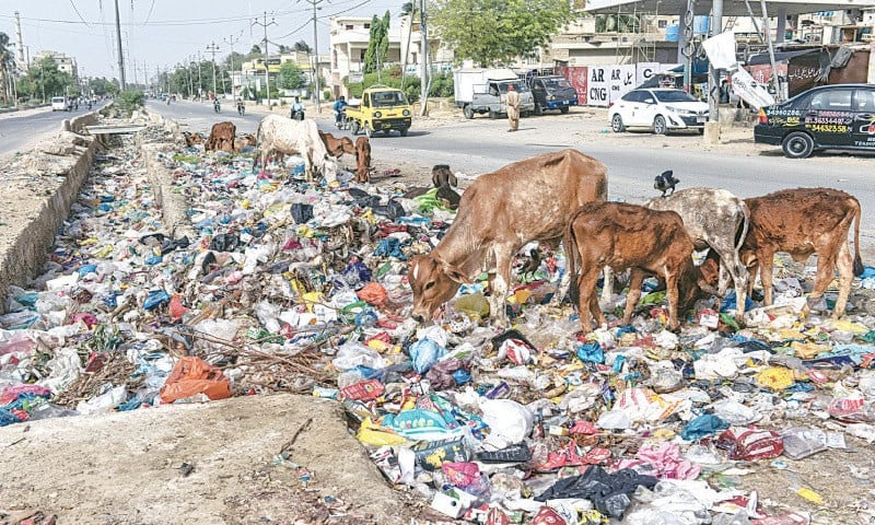 sharah i noorjahan is littered with garbage photo fahim siddiqi white star