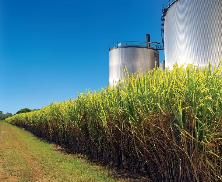 the decision will allow sugar millers to sell their commodity at higher rates which were expected to come down otherwise photo file the decision will allow sugar millers to sell their commodity at higher rates which were expected to come down otherwise photo file