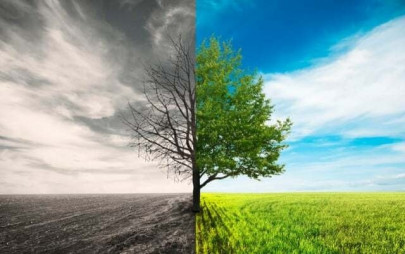 addressing pakistan s climate crisis innovative solutions from homegrown ventures