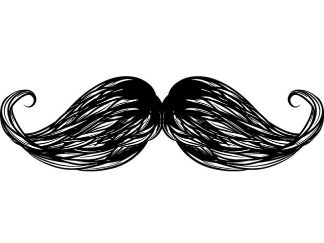as the world gears to grow a moustache this november to raise awareness about prostate cancer we ask a few pakistanis about their plans design kiran shahid as the world gears to grow a moustache this november to raise awareness about prostate cancer we ask a few pakistanis about their plans design kiran shahid