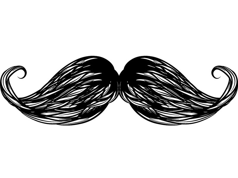 as the world gears to grow a moustache this november to raise awareness about prostate cancer we ask a few pakistanis about their plans design kiran shahid