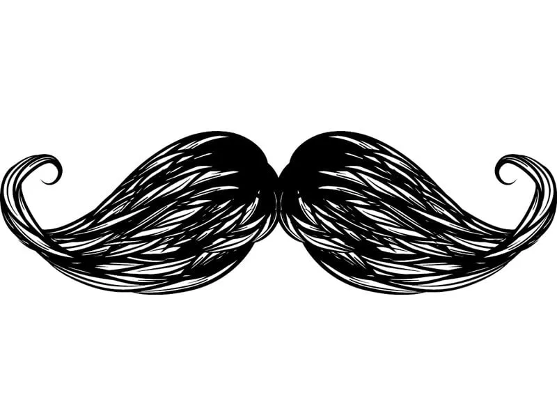 as the world gears to grow a moustache this november to raise awareness about prostate cancer we ask a few pakistanis about their plans design kiran shahid as the world gears to grow a moustache this november to raise awareness about prostate cancer we ask a few pakistanis about their plans design kiran shahid