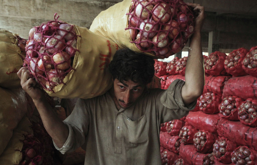 domestic supply of onions may improve after the arrival of sindh s produce in the market photo reuters