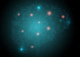 from quarks to consciousness physics neuroscience god debate