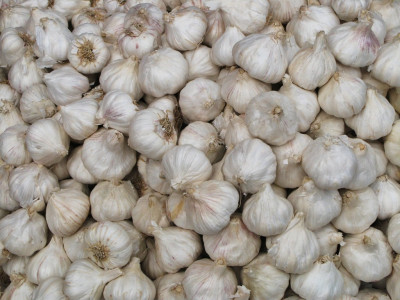 garlic worth millions stolen from narc