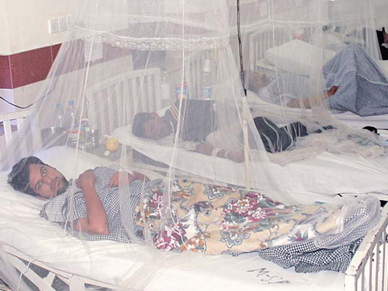 photo of dengue patients photo express