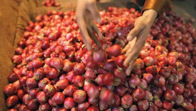 onions become the latest vegetable to cross the rs100 per kilogramme mark in certain areas of the city photo file afp onions become the latest vegetable to cross the rs100 per kilogramme mark in certain areas of the city photo file afp