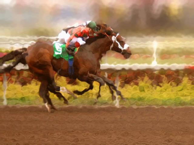 some 6 000 jobs will be lost they estimate and 80 000 horses will have to be sent to slaughter photo file some 6 000 jobs will be lost they estimate and 80 000 horses will have to be sent to slaughter photo file