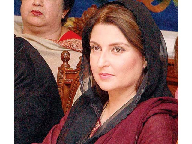 pml n s sumaira malik photo file