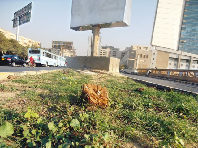standing idle next to the butchered stubs of once lush green trees 34 advertisement panels attached to street light poles on the boulevard that runs in front of dolmen center in clifton are a sad reminder of the greed of the city government photos express standing idle next to the butchered stubs of once lush green trees 34 advertisement panels attached to street light poles on the boulevard that runs in front of dolmen center in clifton are a sad reminder of the greed of the city government photos express