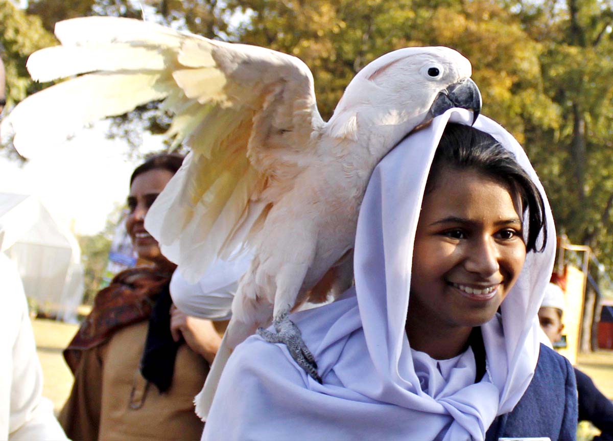 Updated Dec 01, 2013