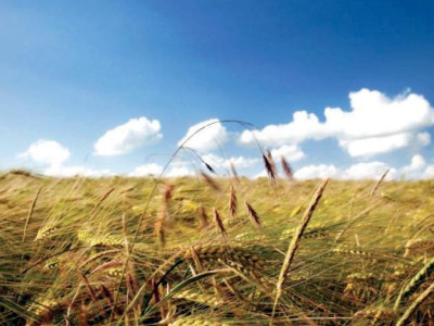 pest management speakers call for applying ipm techniques